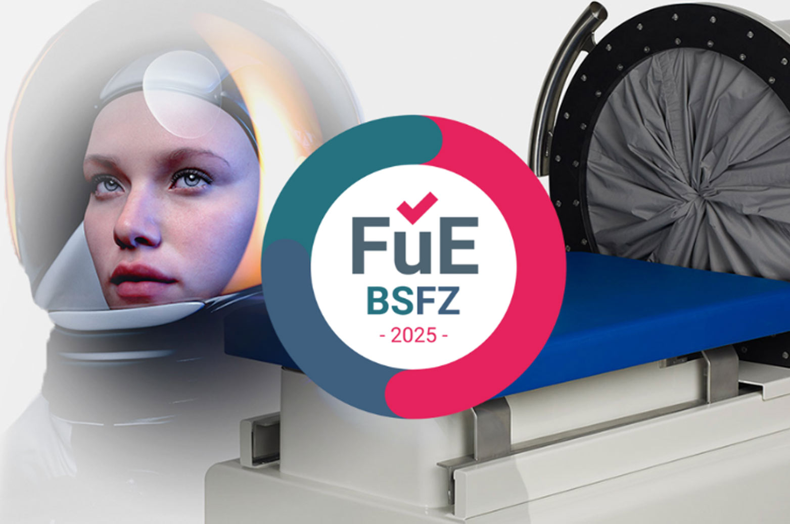 bsfz-ziegel